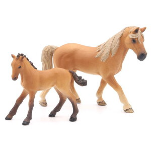 tBMA ͌^ elV[EH[J[ n z[X 쐶  ~j`A RNV t@[ A q NW fBXvC