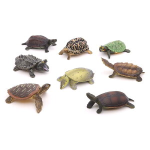 T ͌^ ~j`A TV[Y 쐶  i A tBMA RNV u GL]`bN NW