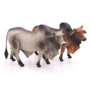 ~j`A  A   fBXvC tBMA RNV ͌^ ߋ NW