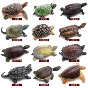 ~j`A q  T V[Y C uW vX`bN RNV tBMA  A