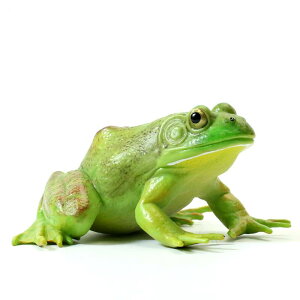 q ~j`A  ঒ ߋ A i fBXvC tBMA  CeA RNV