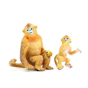 ͌^ S[fL[ q qp vX`bN   Mtg tBMA ~j`A fR[V fBXvC