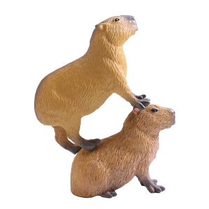 q ͌^   ꖎ Jso M ~j`A tBMA i fXNgbv CeA RNV ߋ