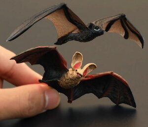 tBMA ͌^ u LbY   qp V~[V  RE 傫   Fm Mtg i