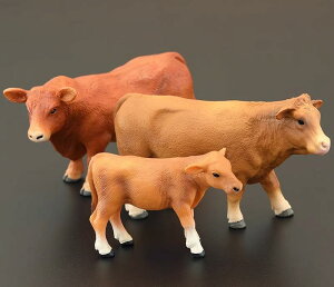 tBMA ͌^ u LbY   qp V~[V   _ q Fm Mtg i A