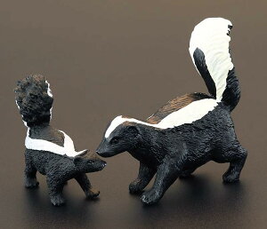 tBMA ͌^ u LbY   q V~[V  XJN A CeA   Fm Mtg i