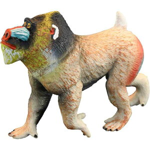 tBMA ͌^ u LbY   q V~[V 쐶  }h qq 쒷 Fm Mtg i ~j`A