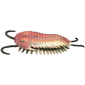 tBMA ͌^ u LbY   q V~[V g  Ot  Fm Mtg i