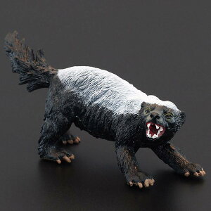 q V~[V  tBMA ͌^ u LbY   [e tFbg Fm Mtg i A CeA