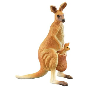 tBMA ͌^ u LbY   q V~[V  eq JK[ q Fm Mtg i A CeA