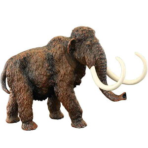 tBMA ͌^ u LbY   qp V~[V g Ñ㐶  }X A Fm Mtg i wK