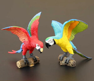 tBMA ͌^ u LbY   qp V~[V  RSECR IE    Fm Mtg A