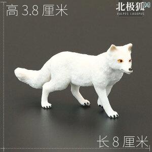 tBMA ͌^ u LbY   q V~[V 쐶  k Lcl  wK Fm Mtg i CeA