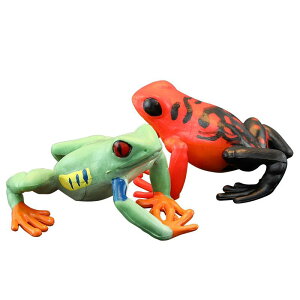 tBMA ͌^ u LbY   q V~[V  hNKG   JG F Mtg i