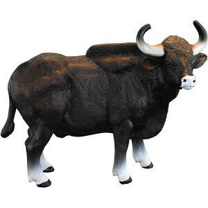 tBMA ͌^ u LbY   q V~[V   葫 oC\ K[ AWA Fm Mtg  ~j`A