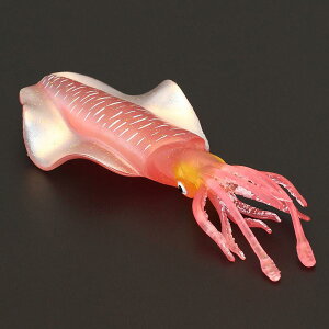 q tBMA ͌^ u LbY   V~[V  i Ϗܗp CJ ANZT[ Af Cm CeA