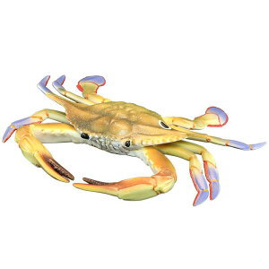 tBMA ͌^ u LbY   q ͋[  RNV Jj j E` ^K C Mtg i CeA A