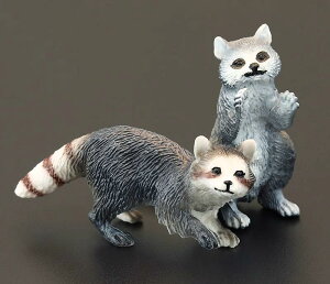 tBMA ͌^ u LbY   q V~[V  쐶 ACO} ss N} Fm Mtg i A