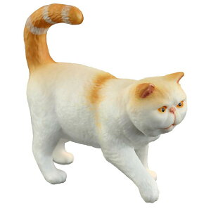 tBMA ͌^ u LbY   q V~[V  GL]`bN V[g wA L   Fm Mtg i CeA