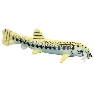 q tBMA ͌^ u LbY   V~[V   hWE A Fm Mtg i 