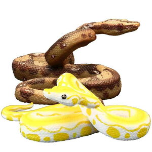 tBMA ͌^ u LbY   qp V~[V  ঒ pC\ wr Fm Mtg CeA A