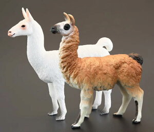 tBMA ͌^ u LbY   q V~[V 쐶  } OAiR Fm Mtg i A N_