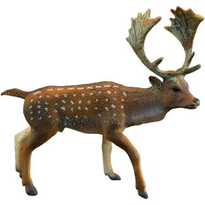 tBMA ͌^ u LbY   q V~[V  _}WJ  Y X|bg Fm Mtg i A CeA