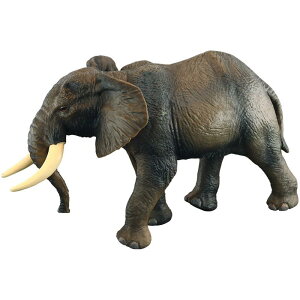 tBMA ͌^ u LbY   q V~[V  쐶 傫 AtJ    Fm Mtg tBMA \tgf