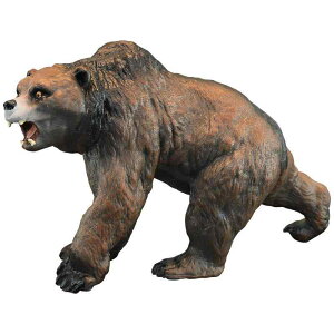 tBMA ͌^ u LbY   q V~[V  A z AiO}   Fm Mtg RNV