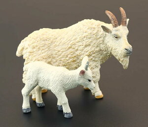 tBMA ͌^ u LbY   q V~[V   r bL[ M CeA v[gp 