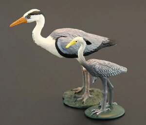 tBMA ͌^ u LbY   q V~[V  AITM wK    Fm Mtg i ~j`A