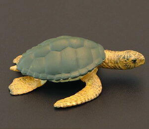 J ^[g tBMA l` zr[  ͌^ V~[V  A RNV fBXvC ~j`A q T  v[g