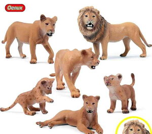 CI q tBMA l` zr[  ͌^ CeA u V~[V  A RNV fBXvC ~j`A q i Ȋw  Mtg