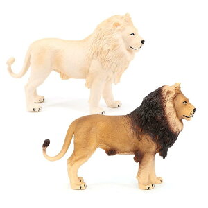 CI q tBMA l` zr[  ͌^ CeA u V~[V  A RNV fBXvC ~j`A q Ȋw  i Mtg