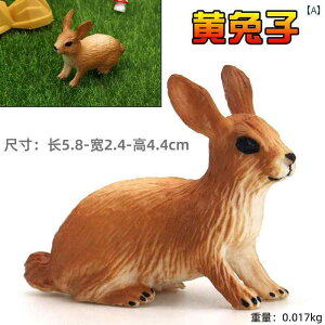 ETM tBMA l` zr[  ͌^ CeA u V~[V  A RNV fBXvC ~j`A 킢 Mtg t@[ ꎨ i