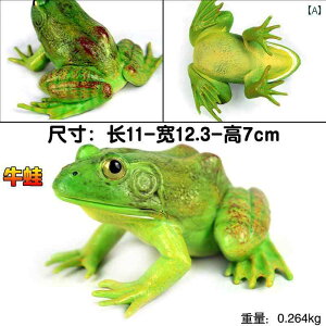 JG  tBMA l` zr[   ͌^ CeA u V~[V  A RNV fBXvC ~j`A q Mtg vX`bN