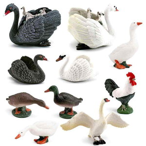  X tBMA l` zr[  ͌^ CeA u V~[V  A RNV fBXvC ~j`A   Aq q i Mtg