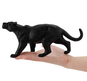 WK[ `[^[ tBMA l` zr[  ͌^ CeA u Mtg V~[V   A RNV fBXvC ~j`A q j̎q