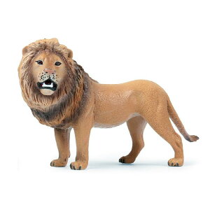 CI qO} p_ tBMA l` zr[  ͌^ V~[V  A RNV fBXvC ~j`A ͋[ q i