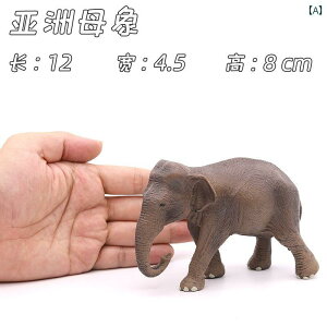   AtJ]E AWA]E }X  i q ~j`A 쐶    tBMA ͌^ A