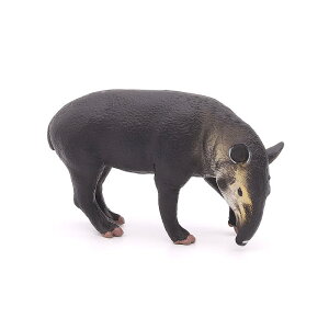 AJoN   q   Mtg ~j`A 쐶    tBMA ͌^ A