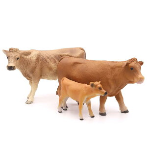 ƒ{  q t@[   Mtg q i ~j`A 쐶    tBMA ͌^ A RNV