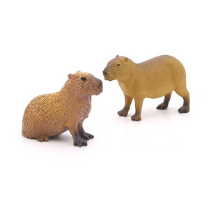 Jso    Mtg  q ~j`A 쐶    tBMA ͌^ A ߋ