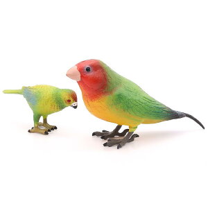 OIE   q Mtg  ~j`A 쐶    tBMA ͌^ A RNV ͌^