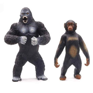 S  `pW[  q ~j`A 쐶    tBMA ͌^ A