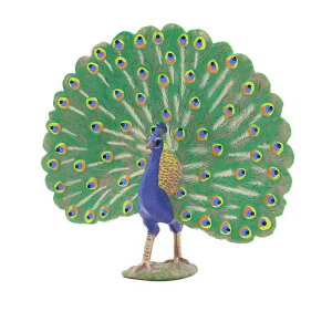 NWN   q Mtg i ~j`A 쐶    tBMA ͌^ A RNV