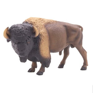 AJ oC\ q  Mtg i ~j`A 쐶    tBMA ͌^ A