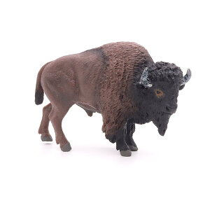 AJ oC\ q   Mtg i ~j`A 쐶    tBMA ͌^ A