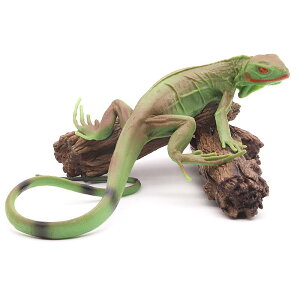 O[ COAi gJQ  ঒ q Mtg i ~j`A 쐶    tBMA ͌^ A