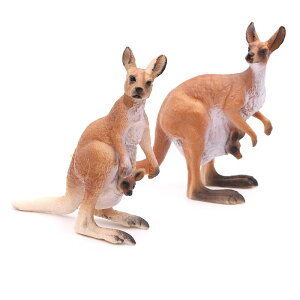 JK[  Ԃ  q ~j`A 쐶    tBMA ͌^ A RNV v[g